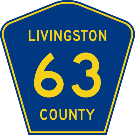 File:Livingston County 63.svg