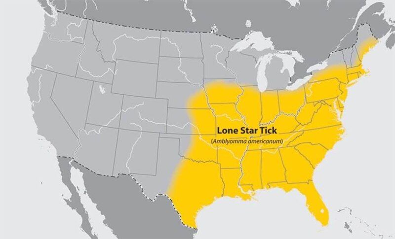 File:Lone-star-tick-map-cdc.jpg