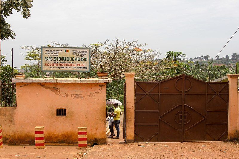 File:Mvog-Betsi Zoo-Botanical Park.jpg