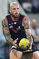 Nathan Jones playing for Melbourne