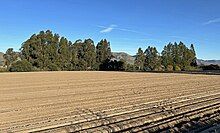 Pictured in January 2025, researchers have determined Dorothea Lange's Migrant Mother photo series location to have been on the outskirts of present-day Nipomo, beside the modern stretch of U.S. Highway 101.