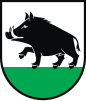 Coat of arms of Łobżenica