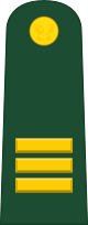 File:Peru-Army-OF-2.svg