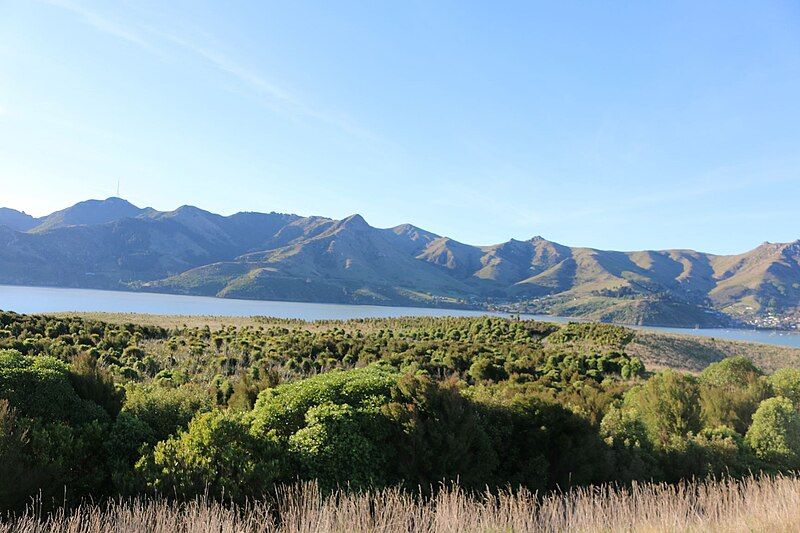 File:Quail island 27.jpg