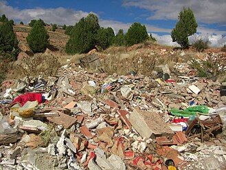 Juniper trees and garbage near Olalla