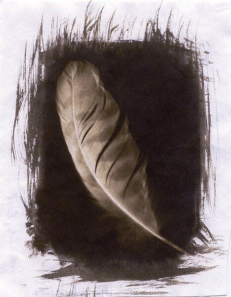 File:VanDyke-feather.jpg