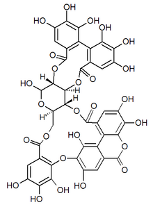 Chemical structure of alnusiin