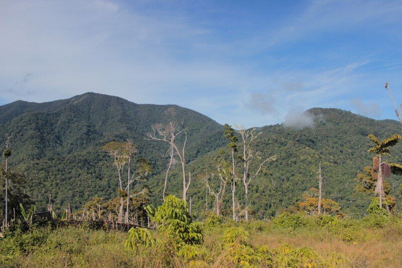 File:Arfak Mountains.jpg