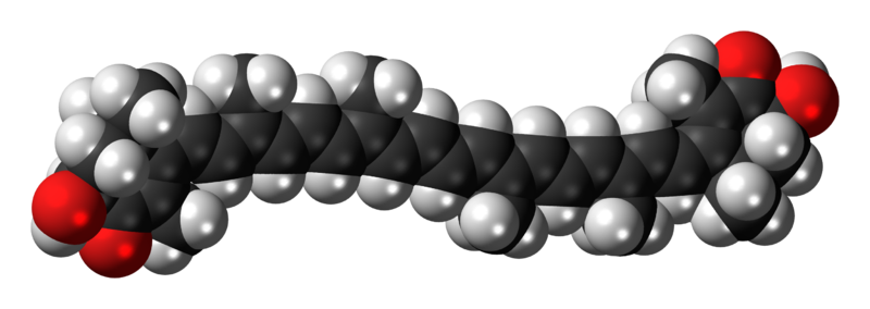 File:Astaxanthin-3D-spacefill.png