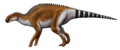 Brachylophosaurus