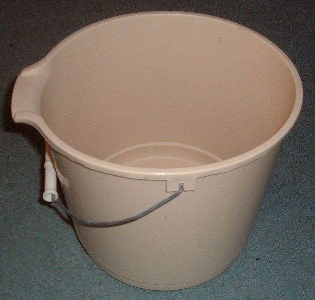 File:Bucket.agr.jpg