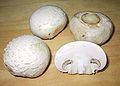 Image 46Agaricus bisporus, one of the most widely cultivated and consumed mushrooms (from Mushroom)