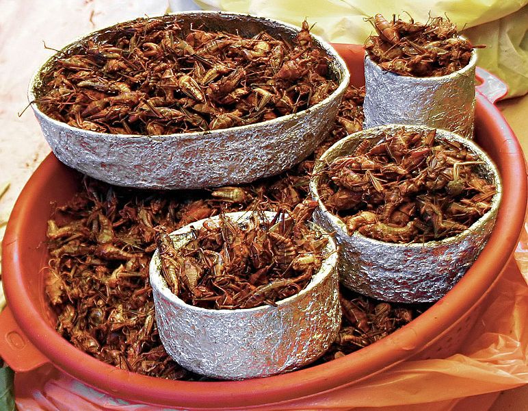 File:Chapulines.jpg