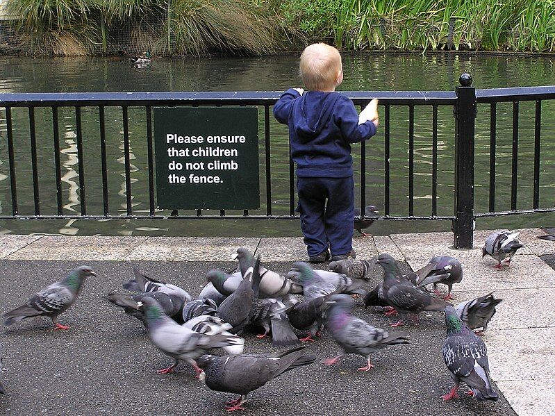 File:Child proof fence.jpg