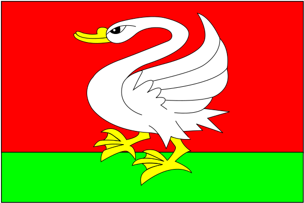 File:Flag of Černošín.svg