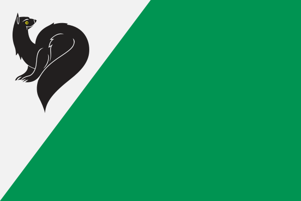 File:Flag of Megion.svg