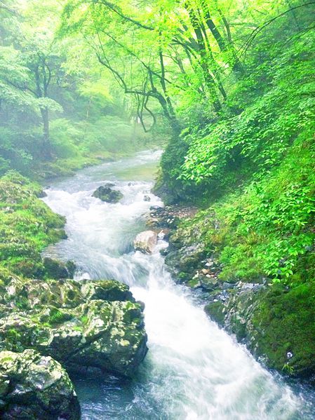 File:Kaisyaku-river.jpg