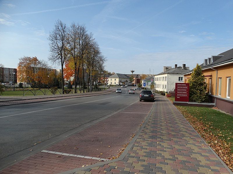 File:Lazdijai, Vilniaus gatvė.JPG