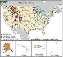 U.S. map of grayling range