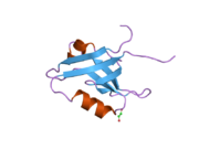 2he4: The crystal structure of the second PDZ domain of human NHERF-2 (SLC9A3R2) interacting with a mode 1 PDZ binding motif