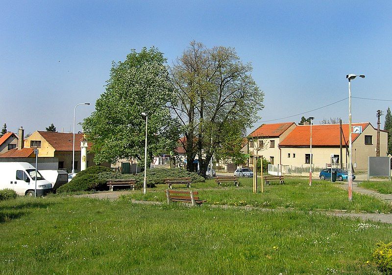 File:Prague Pisnice Common.jpg