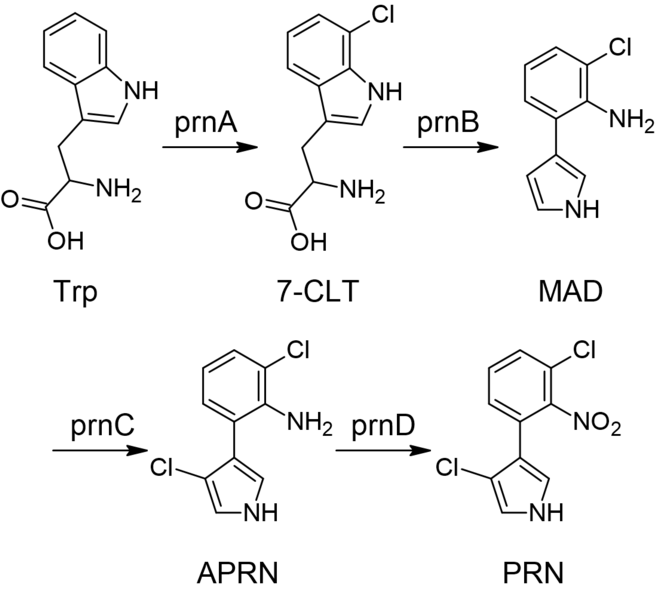 File:Pyrrolnitrin biosynthesis.tif