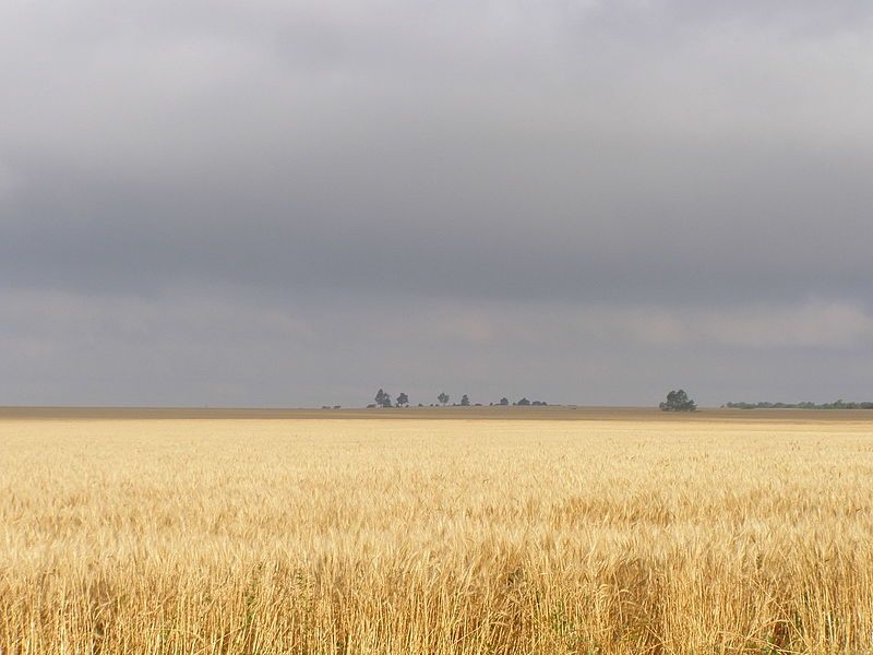 File:Rice County P5310407.JPG