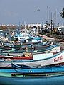 Fishing boats anchored in Sozopol in the Black Sea.