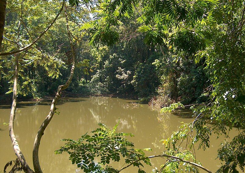 File:Udawattakele Pond 2.jpg