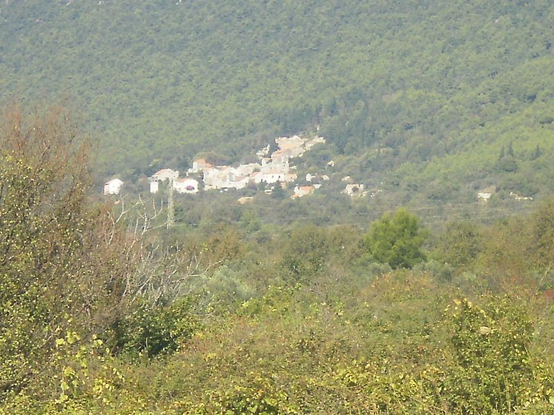 File:Česvinica 9280692.JPG