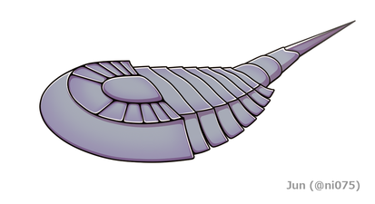 Venustulus waukeshaensis ヴェヌストゥルス・ワウケシャエンシス