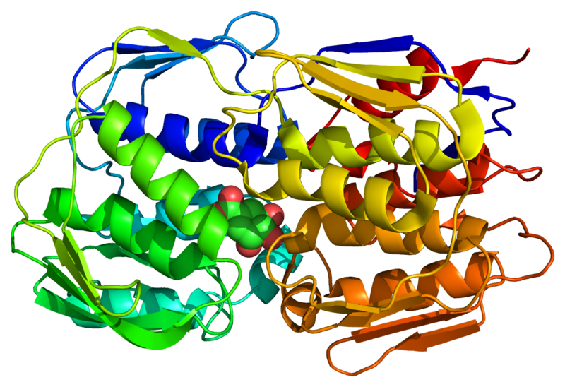 File:2AA9 PDB.png