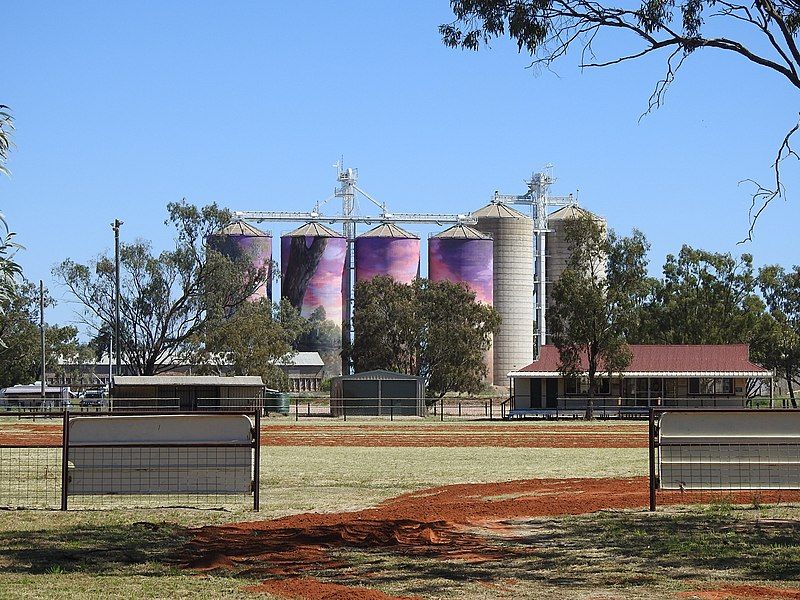 File:AU-Qld-Thallon-silo murals-2021.jpg