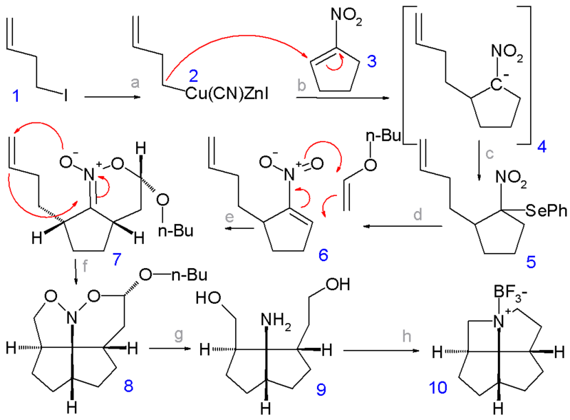 File:AzaFenestraneSynthesis.png