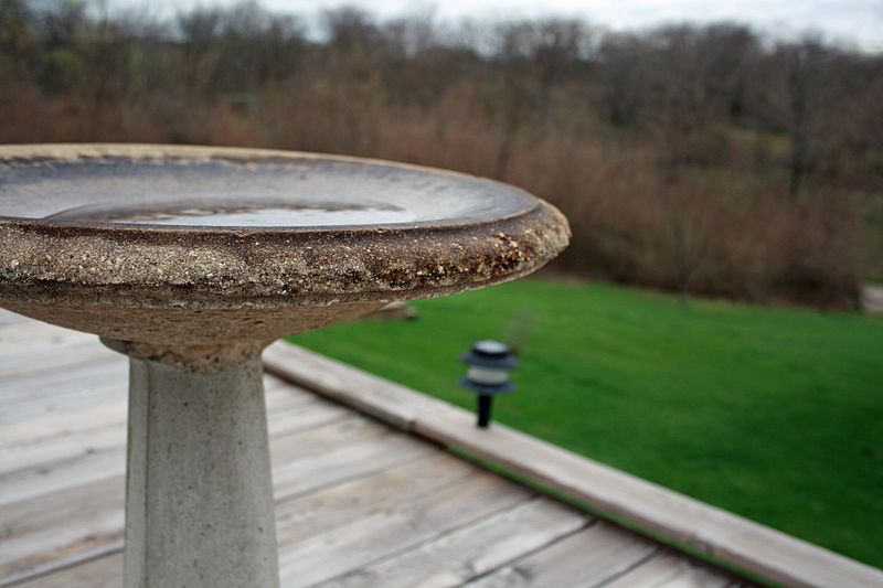 File:Birdbath007.jpg