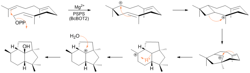 File:Botrydial-Mechanism.png