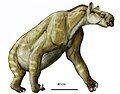 Chalicotherium brevirostris