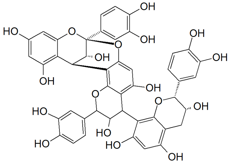 File:Cinnamtannin B1.png