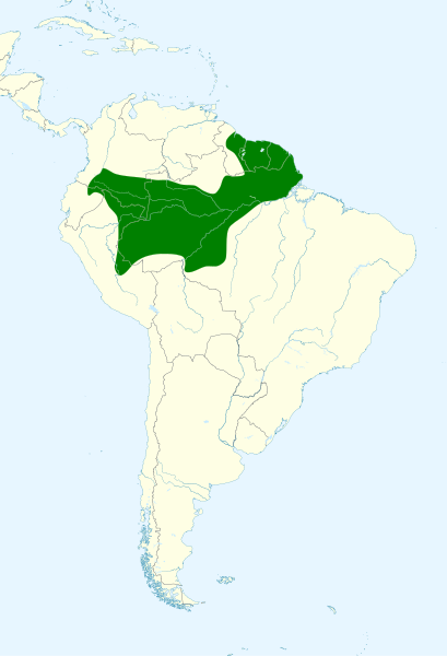 File:Conopophaga aurita map.svg