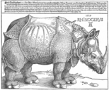 Dürer's Rhinoceros