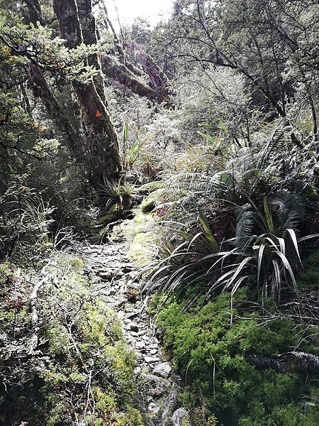 File:Deadmans Track Trail.jpg