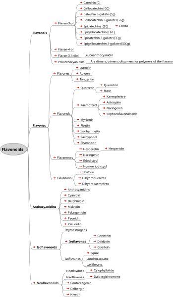 File:Flavonoids.svg