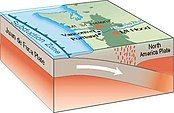 Volcanism in the Boring Lava Field is the result of the subduction of the oceanic Juan de Fuca tectonic plate under the North American tectonic plate