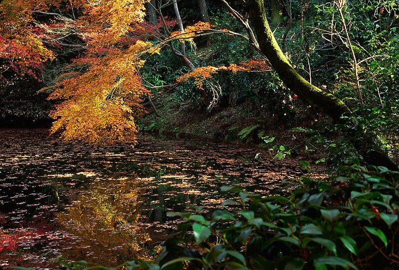 File:KiyomizuderaAutumnPond.jpg