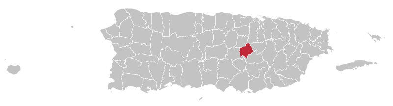 File:Locator-map-Puerto-Rico-Comerío.svg