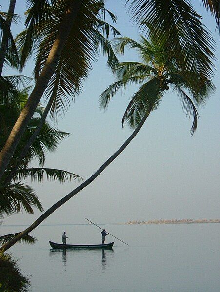 File:Mangalore fishing.JPG