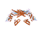 1yvl: Structure of Unphosphorylated STAT1