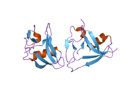 2ott: Crystal structure of CD5_DIII