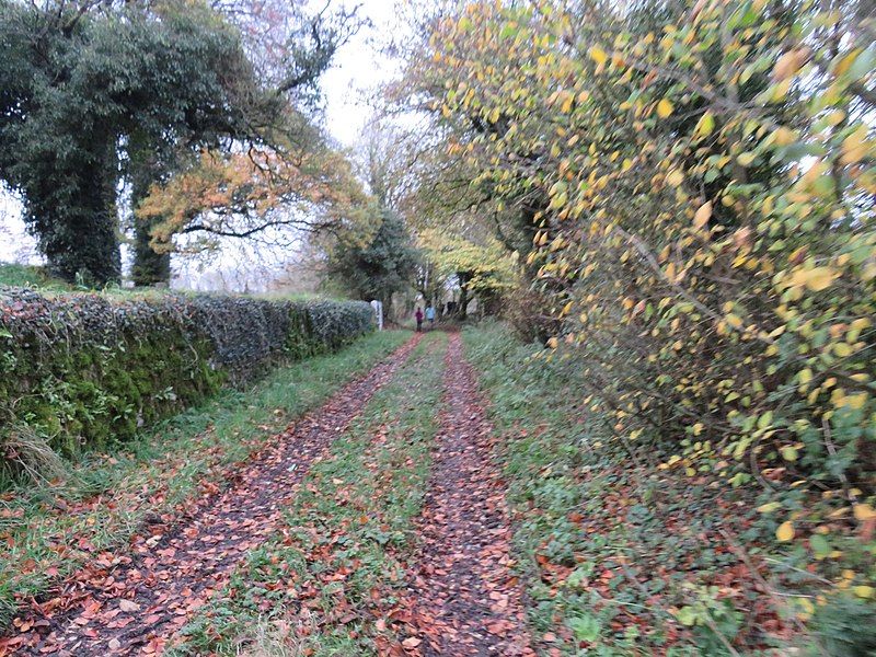 File:Rathgarve trackway.jpg