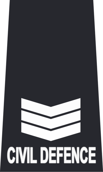 File:SCDF Sgt.png